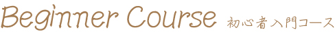 初心者入門コース